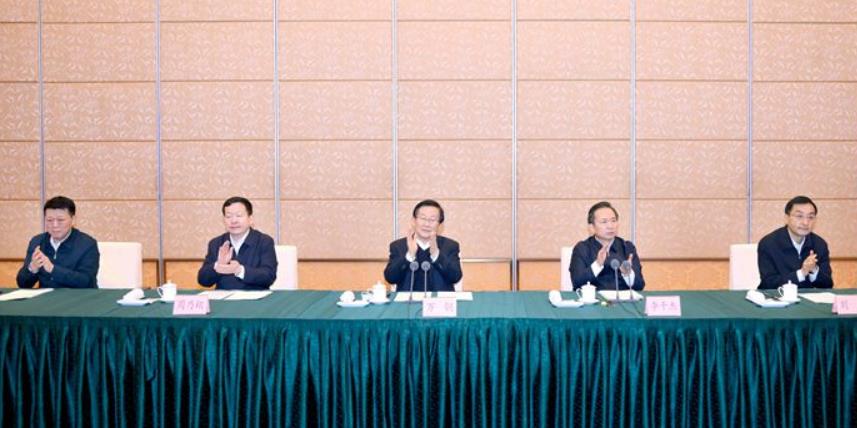 國家燃料電池技術創新中心和“氫進萬家”科技示范工程運行情況座談會舉行.jpg