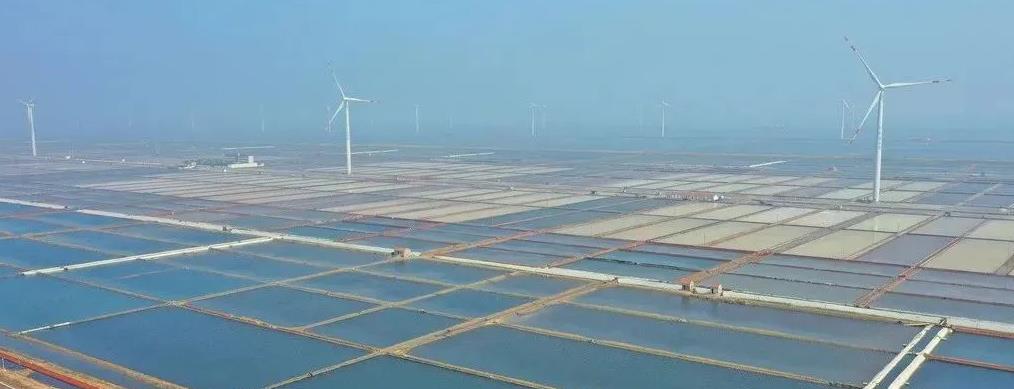 充分利用有利的地形條件，濱海大力發展風能發電 攝影：袁彥奎.jpg